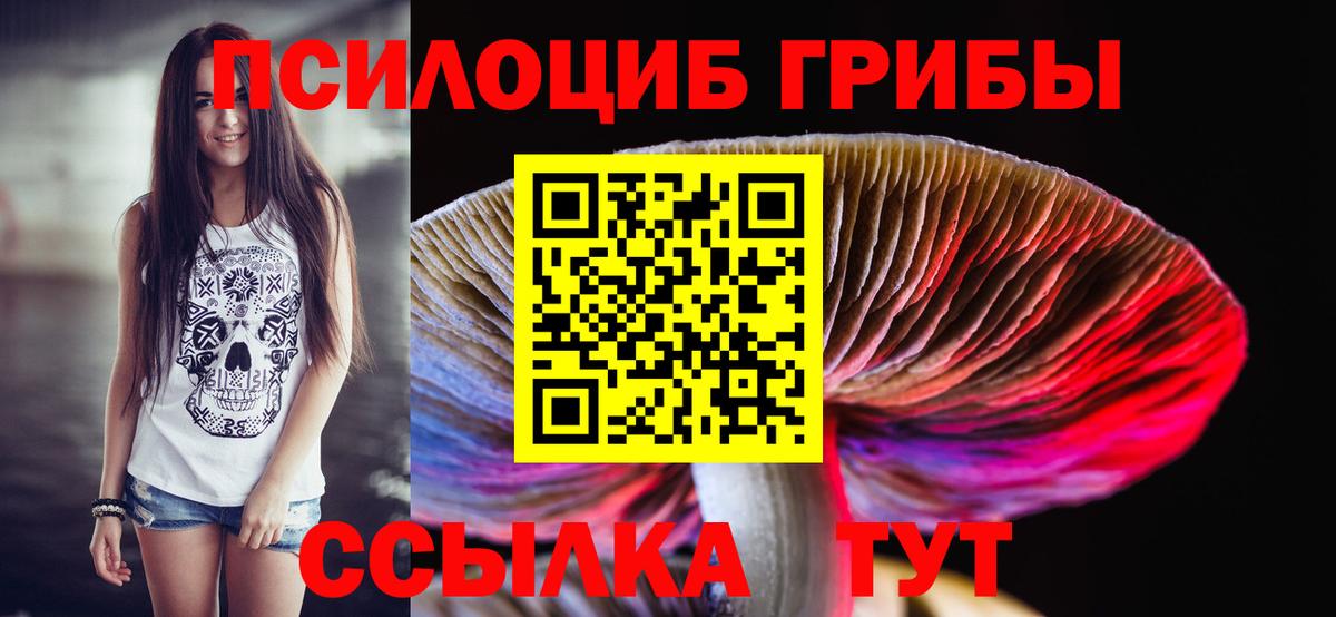 Псилоцибиновые грибы Cubensis  Галлюциногенные грибы Magic Shrooms  Тихвин  Вход с VPN 