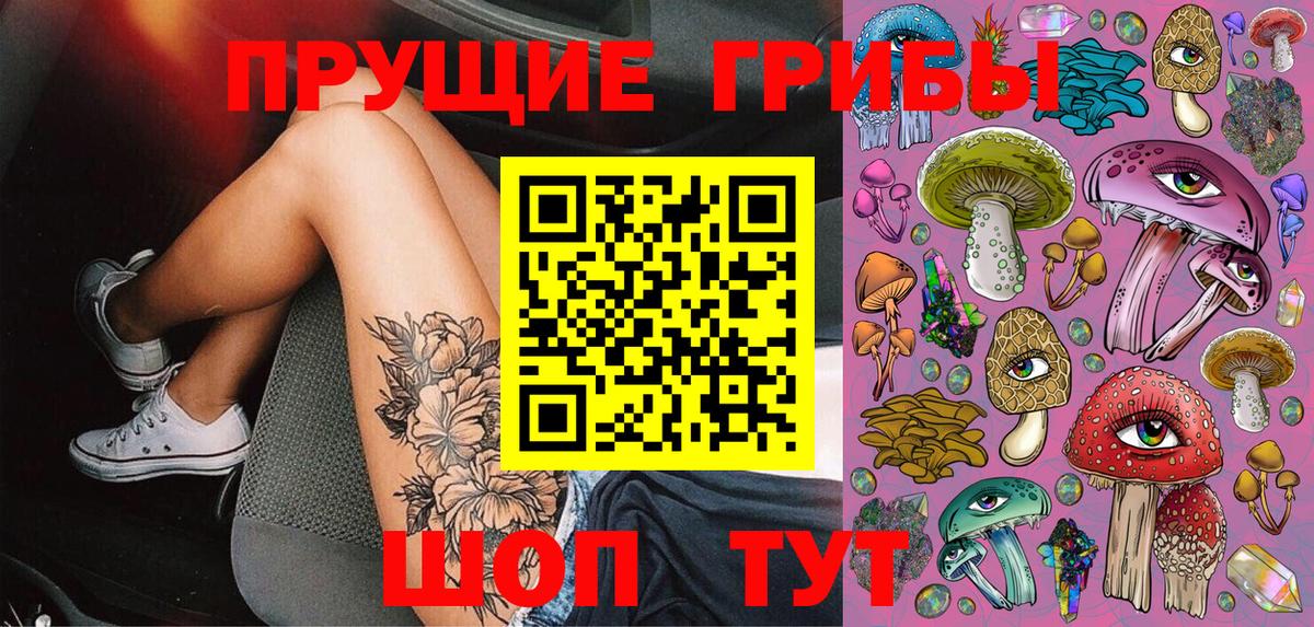 Псилоцибиновые грибы Psilocybe Тихвин